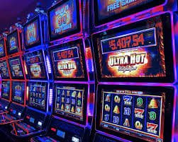 Sports betting markets overview on G777 including cricket football and kabaddi